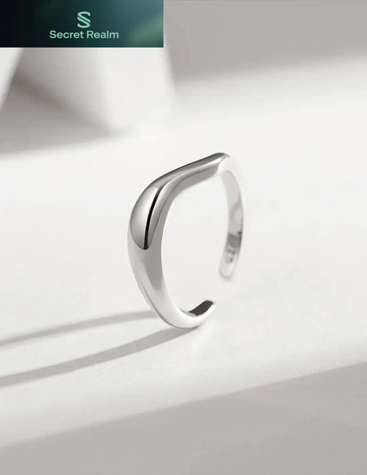 Silver jewelry silver ring