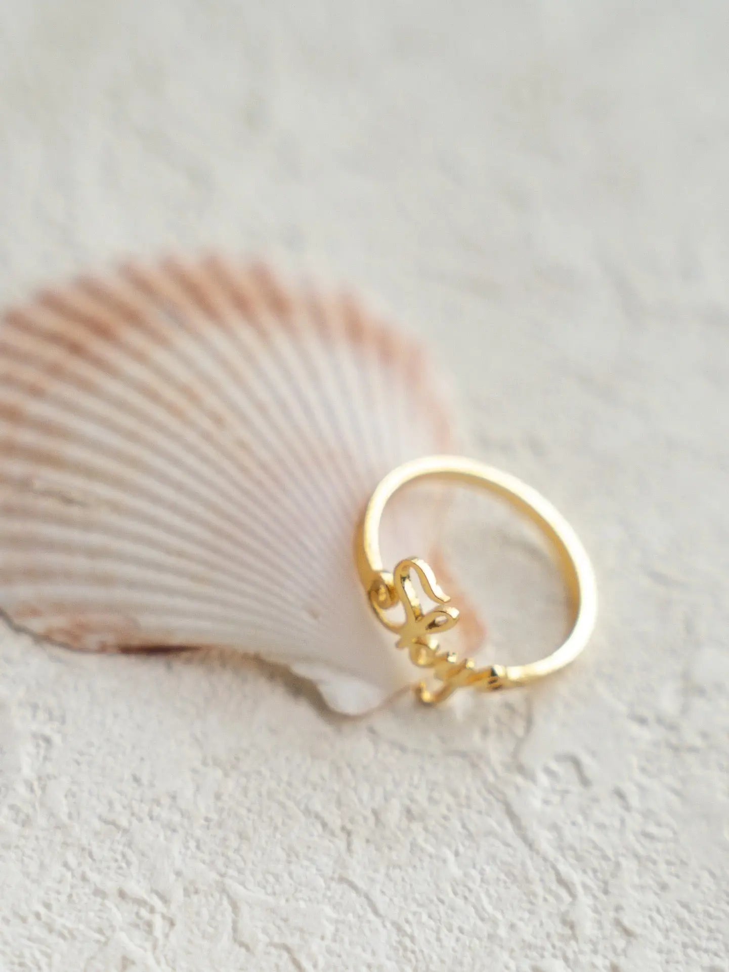 925 silver letter customized ring (packaging not included!!) Secret Realm